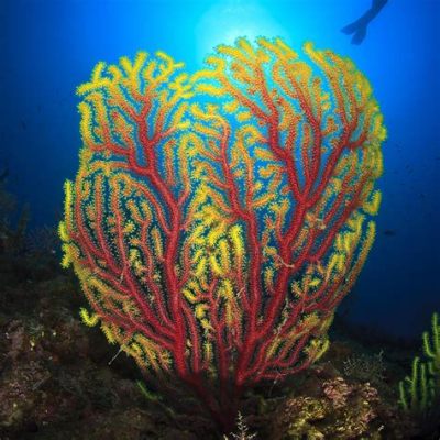  Vlakke Gorgonen: De Meest Verwonderende Koloniale Bevroren Dansers van de Oceaan!