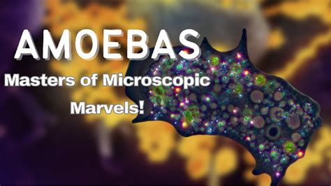  Monster Amoeba: Een Microscopische Meester in Celverandering!